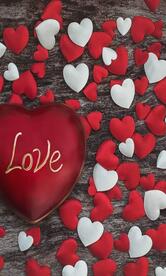 Lazeez Biryani Centre