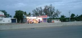 Tik Tok Tea And Snacks