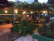 მწვანე ეზო