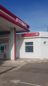 Берёзка