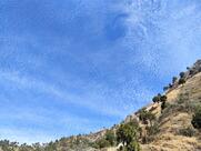 Thakur Tea & Coffee Shop