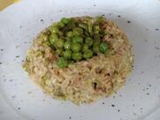 Circolo Impatto Zero - Circolo Vegano - Riservato ai Soci ARCI: tesseramento in loco