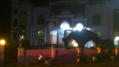 Hotel Biriyani Point