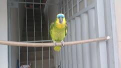 Espaço Gourmet - Lima Macena