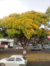 Restaurante dos Assados