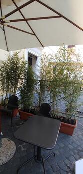 Coco Gelatería Y Café