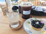 Lang Baan Maltese dog cafe