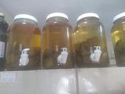 Bar Lanchonete e Adega do João