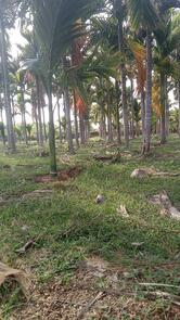 Veerabhadreshwar Hotel