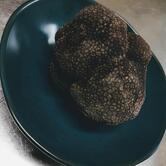 LE PROVENCAL 140 Avenue de la Rabasse 84600 Richerenches