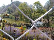 Chai bazaar & Rippile tea outlet