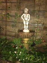 Cafeteria Xicara Montenegro