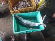 Anjali fish fry and crab soup centere