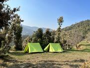 Wild Wishes Camp Mukteshwar