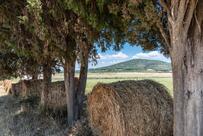 Costa D'Argento - Camping Village Club