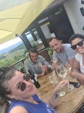 VINO, TURIZEM IN PRENOČIŠČA - TURISTIČNA KMETIJA PROTNER