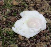 Restaurante e bar do Geraldo