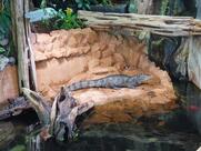 Aquarium Wilhelmshaven incl. Prehistoric Sea Museum