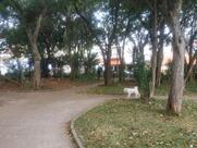 Bar Lanchonete e Restaurante Metrô's Bar