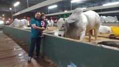 Birosca Lanches e Cia