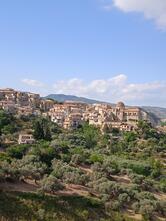 Bar & Ricevitoria Sisal F.lli Baldari