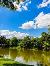 Pesqueiro e Petiscaria Route 129