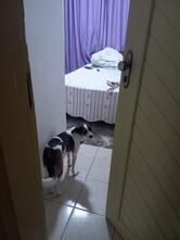 Grelhado na Brasa Como Churrasco