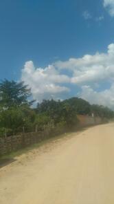 Pizzaria Sabor do Pará