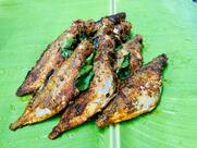 ASK -Absolute southern kitchen