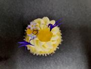 Libellule Café gourmand