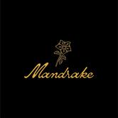 Mandrake Rooftop