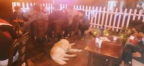 BR 22 CAFE AND RESTAURANT