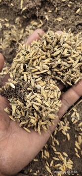 Sai Baba Restaurant Station Road Balanagar mahabubnagar dist