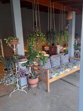 Deolinda Brodowski - Café e restaurante