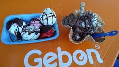 Sorveteria Gebon Capão Raso