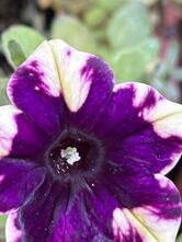 Bar Le Quattro Strade