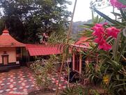 Nice Family Restaurant