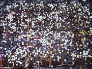 Khinda bakery & cake house Best Caterers & Sweets & Snacks Sultanpur