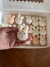 Butterella Treats Kannur.