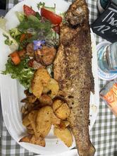 SpessArt Forelle