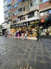 - PANDA -