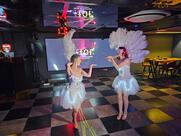 Tales of Flamingo (TOF)