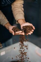 Sugarbird Coffee Company