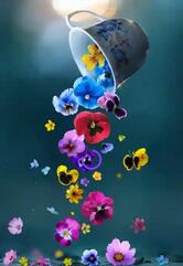 bajrangi chaat bhandar