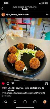 Shree Dev Narayan Fast Food