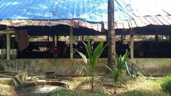 AKG Nagar Junction,Eriyad