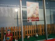 Куриный дом