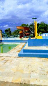 Maria Benedita Pimenta Bellini