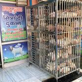 Haryana Meat Shop