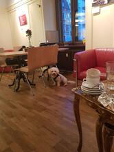 Quartiertreffpunkt LoLa